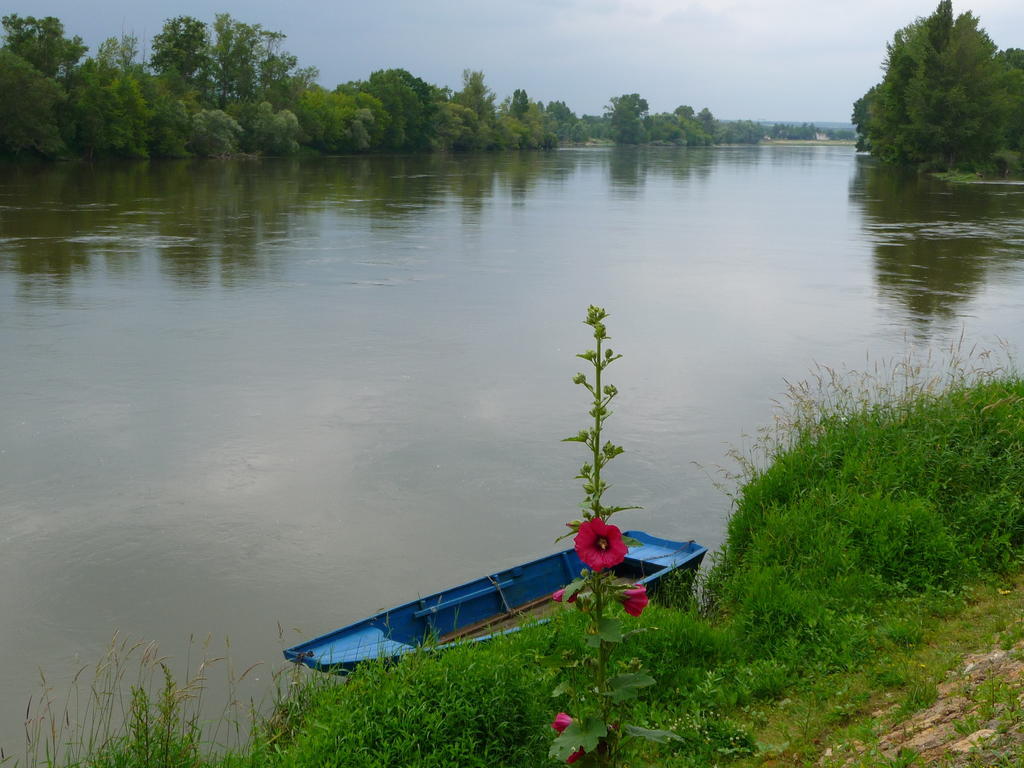 Escale De Loire Bed and Breakfast Chouzé-sur-Loire Eksteriør billede
