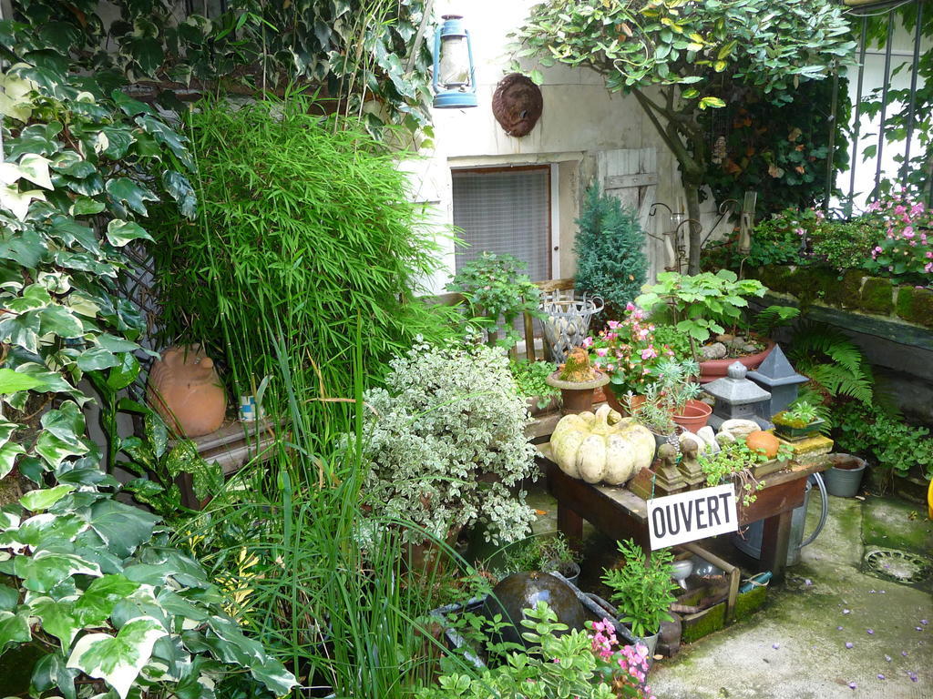 Escale De Loire Bed and Breakfast Chouzé-sur-Loire Eksteriør billede