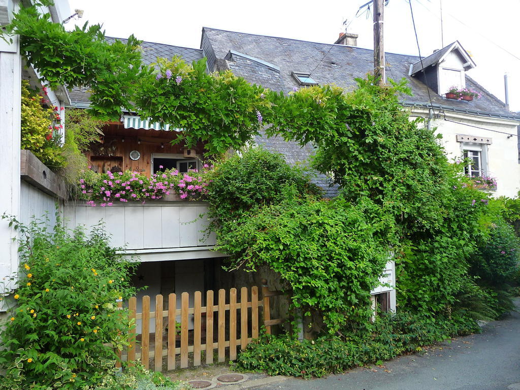 Escale De Loire Bed and Breakfast Chouzé-sur-Loire Eksteriør billede