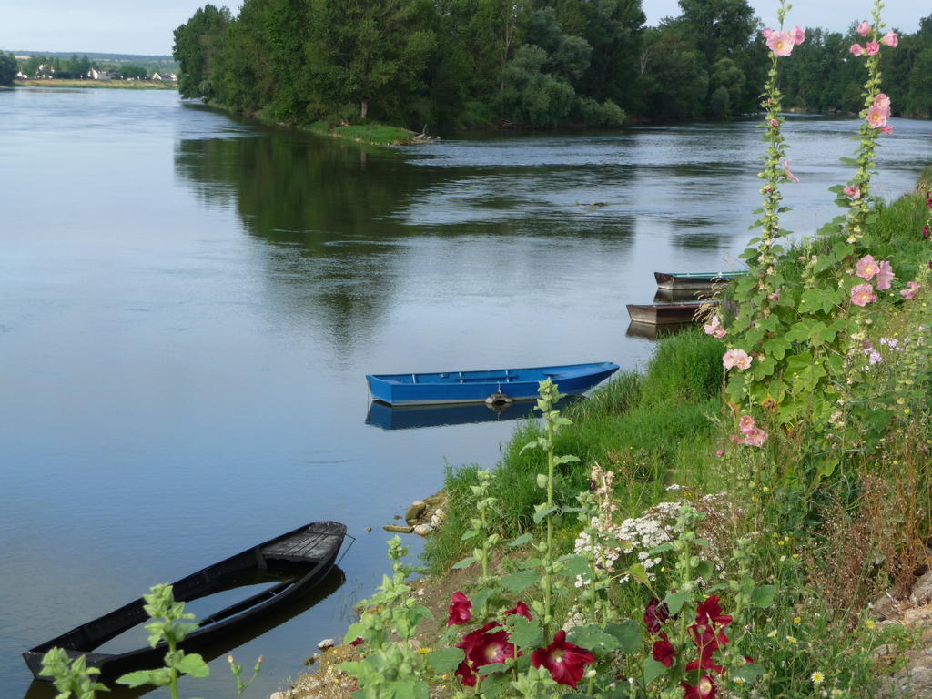 Escale De Loire Bed and Breakfast Chouzé-sur-Loire Eksteriør billede